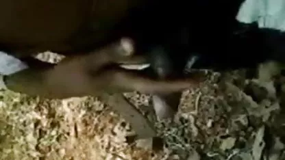 जूलिया ऐन, जो अश्लील XXX प्यार करता सेक्सी हिंदी फिल्म वीडियो में है